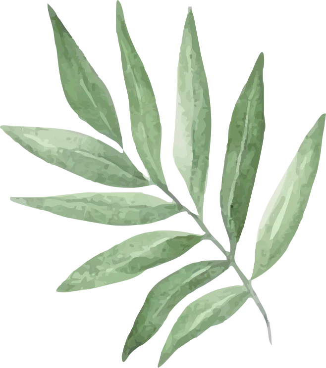 leaf